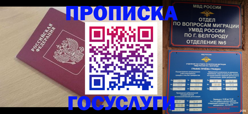 прописка законно в Белгородской области